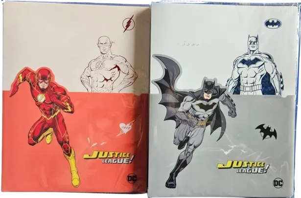 Porte Vue DELI Justice League A4 En PP 40 Pochettes 80 Vues