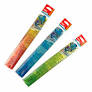 Règle Scolaire DELI EH650 20cm Flexible Multi-Couleurs