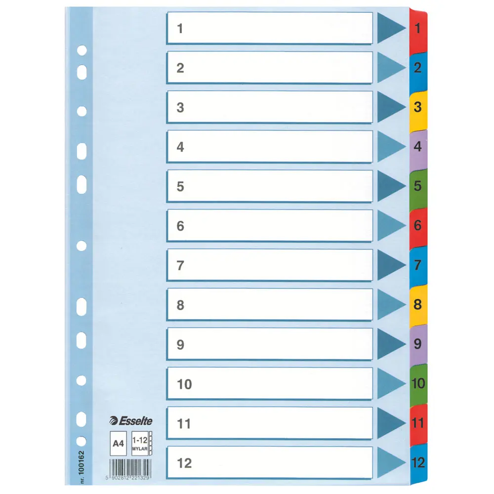 Intercalaire ESSELTE 1-12 en Carton Mylar A4 Multi-Couleurs 