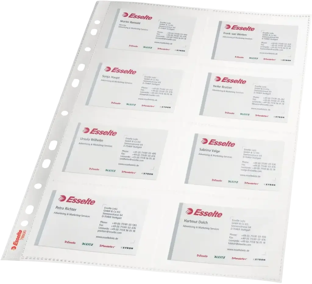 Rame 10  Pochettes perforée ESSELTE plastique A4 pour carte de visite 1.5 Mic