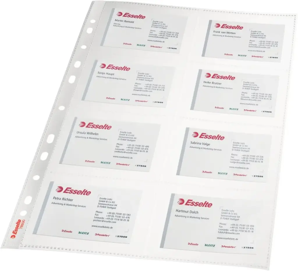 Rame 10  Pochettes perforée ESSELTE plastique A4 pour carte de visite 1.5 Mic