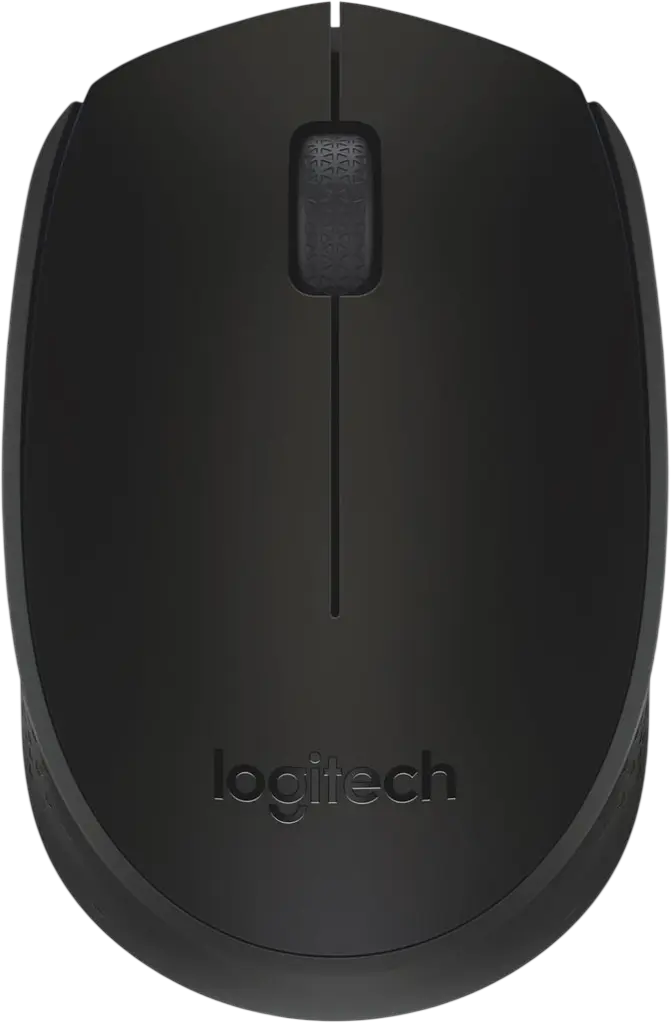 Souris Optique sans Fil LOGITECH M171 USB Noir