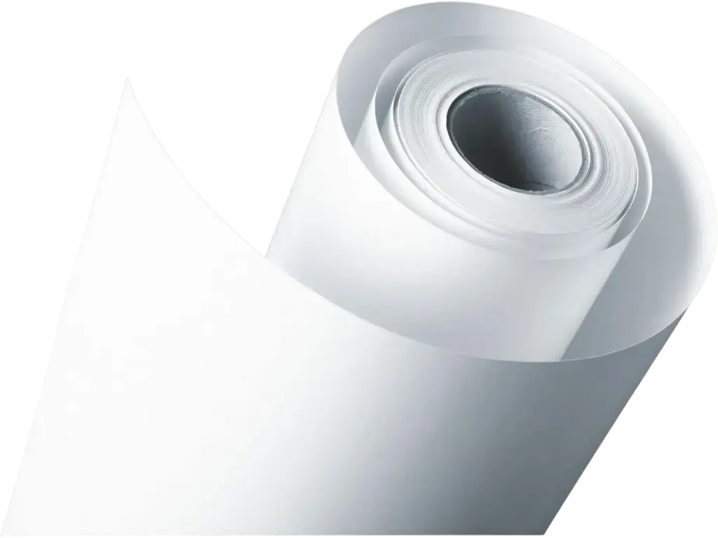Rouleaux papier photo pour imprimante Fujifilm RK-CF800  paquet de 2 pcs