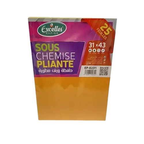 Rame de 25 sous Chemises EXCELLES Pliante 80g/m² Multi-Couleurs