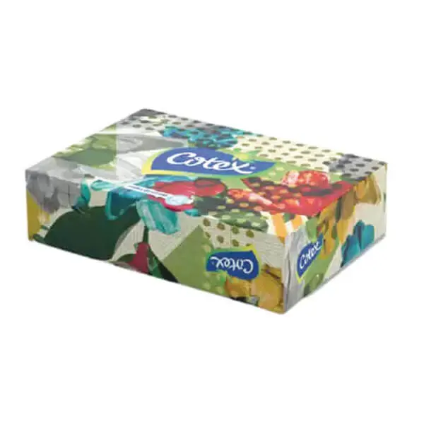Papier Mouchoir COTEX Eco Boite de 140Pcs