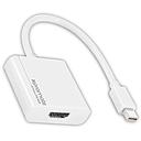 Adaptateur PROMATE Iview HDMI Premium Ultra Compact Mini Display Port Mâle 20Pin Vers HDMI Femelle Type A 19Pin 5V Sortie Vidéo Jusqu'à 1920x1080p 60Hz FHD Blanc