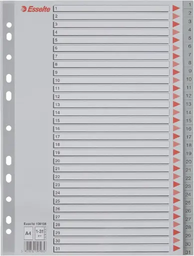 [100108] Intercalaire ESSELTE 1-31 en PP A4 Gris