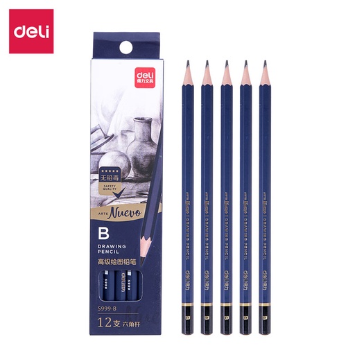 [S999-B] Crayon Noir Technique DELI B Hexagonal