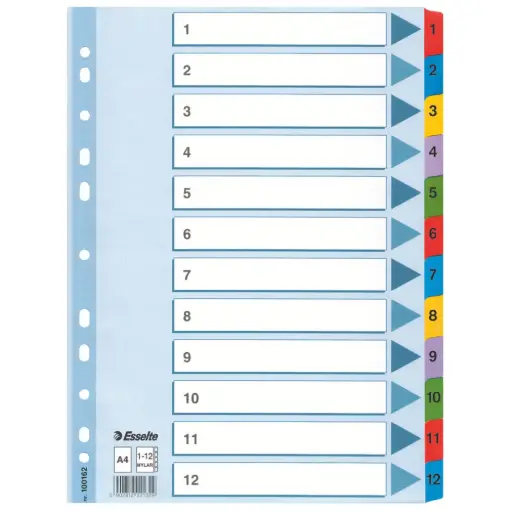 [100162] Intercalaire ESSELTE 1-12 en Carton Mylar A4 Multi-Couleurs 
