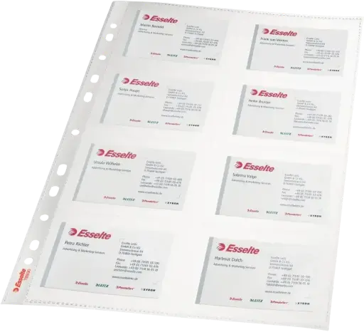 [78930] Rame 10  Pochettes perforée ESSELTE plastique A4 pour carte de visite 1.5 Mic