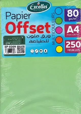 [EP-0309] Rame de 250 de Papier de Couleur EXCELLES A4 80g/m² Multi-Couleurs